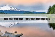 翡翠原石变种图解（翡翠原石变种图解大全）