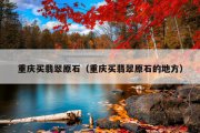 重庆买翡翠原石（重庆买翡翠原石的地方）