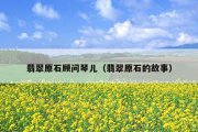 翡翠原石顾问琴儿（翡翠原石的故事）