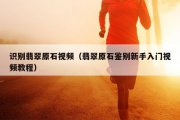 识别翡翠原石视频（翡翠原石鉴别新手入门视频教程）