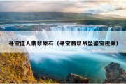 寻宝佳人翡翠原石（寻宝翡翠吊坠鉴宝视频）