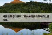 兴国翡翠毛料原石（赣州兴国县翡翠城网上售楼处）