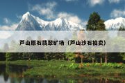 芦山原石翡翠矿场（芦山沙石拍卖）