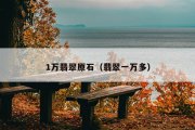 1万翡翠原石（翡翠一万多）