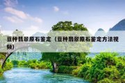 豆种翡翠原石鉴定（豆种翡翠原石鉴定方法视频）