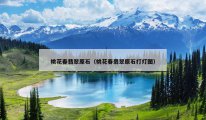 桃花春翡翠原石（桃花春翡翠原石打灯图）