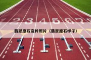 翡翠原石变种照片（翡翠原石样子）