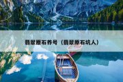 翡翠原石养号（翡翠原石坑人）