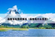桑植玉石翡翠原石（桑植是什么意思）
