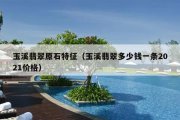 玉溪翡翠原石特征（玉溪翡翠多少钱一条2021价格）