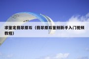 求鉴定翡翠原石（翡翠原石鉴别新手入门视频教程）