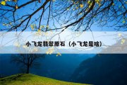 小飞龙翡翠原石（小飞龙是啥）