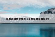 景泰毛料翡翠原石（景泰蓝盆景翡翠花）