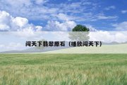 闯天下翡翠原石（播放闯天下）