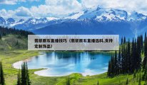 翡翠原石直播技巧（翡翠原石直播选料,支持定制饰品）