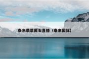 泰来翡翠原石直播（泰来国际）