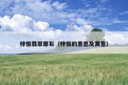 梓恒翡翠原石（梓恒的意思及寓意）