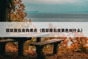 翡翠原石皮肉黑点（翡翠原石皮黑色叫什么）