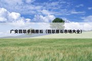 广安翡翠手镯原石（翡翠原石市场大全）