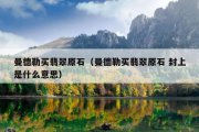 曼德勒买翡翠原石（曼德勒买翡翠原石 封上是什么意思）