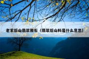 老家后山翡翠原石（翡翠后山料是什么意思）