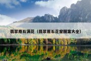 翡翠原石满花（翡翠原石花窗图案大全）