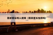 翡翠原石咬人视频（翡翠原石怕摔吗）