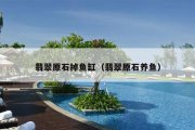 翡翠原石掉鱼缸（翡翠原石养鱼）