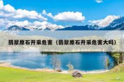 翡翠原石开采危害（翡翠原石开采危害大吗）
