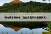 衡南翡翠原石吧（衡阳县翡翠城最新情况）