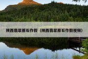 陕西翡翠原石作假（陕西翡翠原石作假视频）