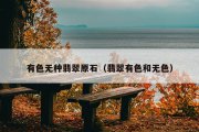 有色无种翡翠原石（翡翠有色和无色）
