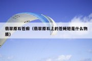 翡翠原石苍癣（翡翠原石上的苍蝇翅是什么物质）