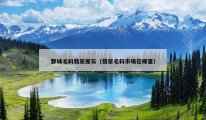 鄄城毛料翡翠原石（翡翠毛料市场在哪里）
