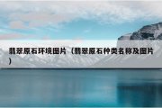 翡翠原石环境图片（翡翠原石种类名称及图片）