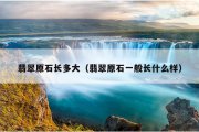 翡翠原石长多大（翡翠原石一般长什么样）