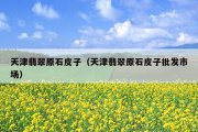 天津翡翠原石皮子（天津翡翠原石皮子批发市场）