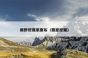 田野挖翡翠原石（翡翠挖掘）