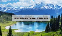 天津巨大翡翠原石（天津巨大翡翠原石鉴定）