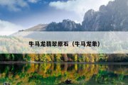 牛马龙翡翠原石（牛马龙象）