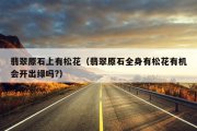翡翠原石上有松花（翡翠原石全身有松花有机会开出绿吗?）