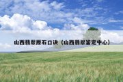 山西翡翠原石口诀（山西翡翠鉴定中心）