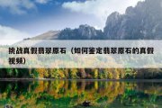 挑战真假翡翠原石（如何鉴定翡翠原石的真假视频）