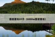 翡翠原石85万（8000w翡翠原石）