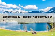 苍蝇翅翡翠原石（翡翠里的苍蝇翅是什么意思）
