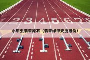 小甲虫翡翠原石（翡翠绿甲壳虫报价）