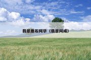 翡翠原石阿华（翡翠阿成）