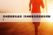 苏州翡翠原石进货（苏州哪里有翡翠原石切割）