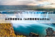 认识翡翠原石认（认识翡翠原石认识什么）