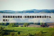 购买翡翠原石规定（买翡翠原石需要注意什么地方）